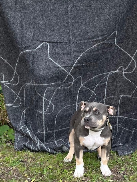 63185 Ullfilt , Dalahäst/ Blanket  Dalahorse