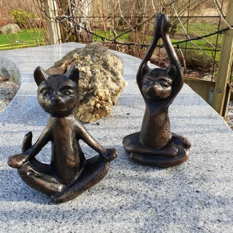 Butik Täppan katter i yogapositioner