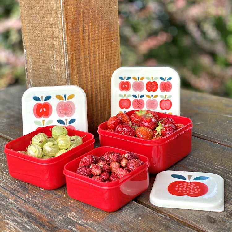 SNACKSBOX