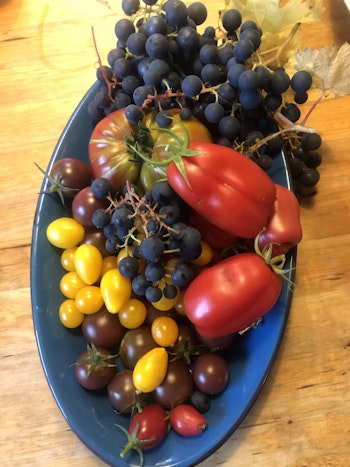 flott fruktfat i blått keramik piacere