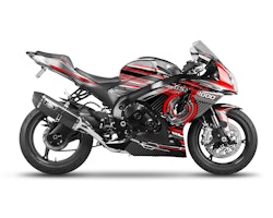 GSX-R1000 gráficos - "ALX"