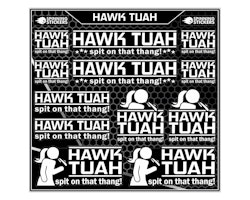 Hawk Tuah sticker kit