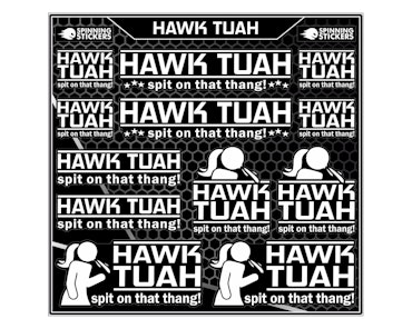 Hawk Tuah stickerset