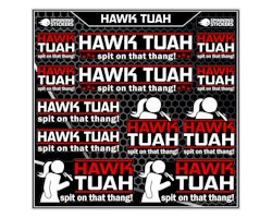 Hawk Tuah sticker kit