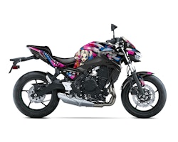 Graphics "Harley Quinn" - Fits Z650