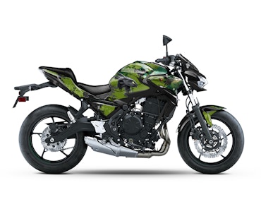"Dragontrainer" Graphics - Voor Z650