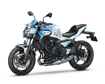 "Dragontrainer" Graphics - Voor Z650