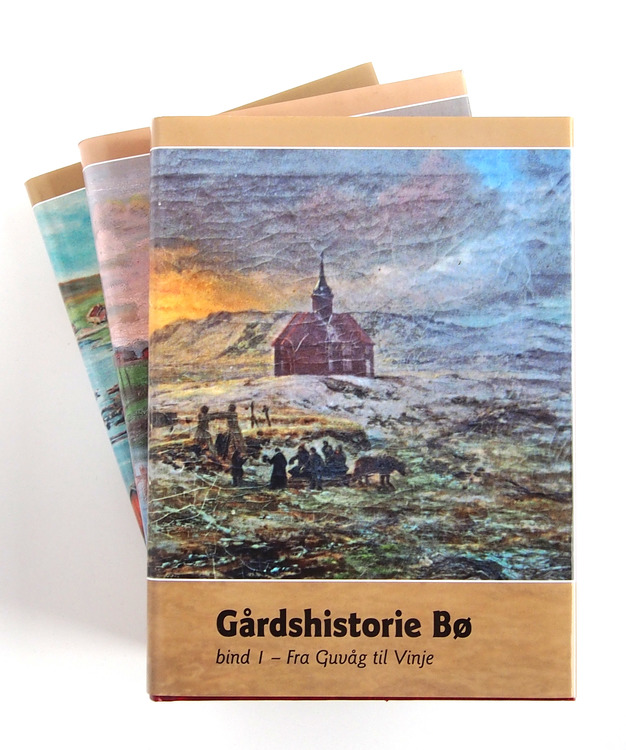 Gårdshistorie Bø (bind 1, 2 og 3)