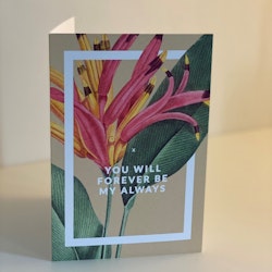 Card: "You will forever be my always" 13X18cm