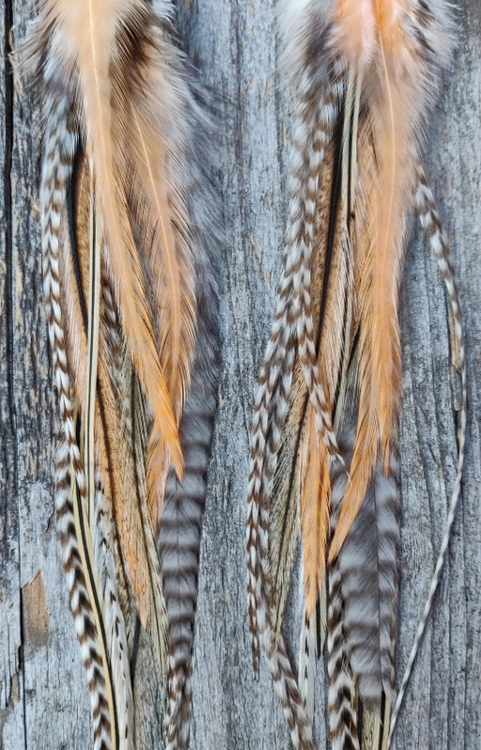Long Feather Earrings #2006