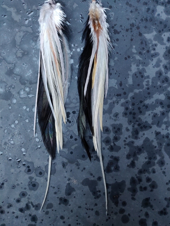 Feather Earrings Pair #2096