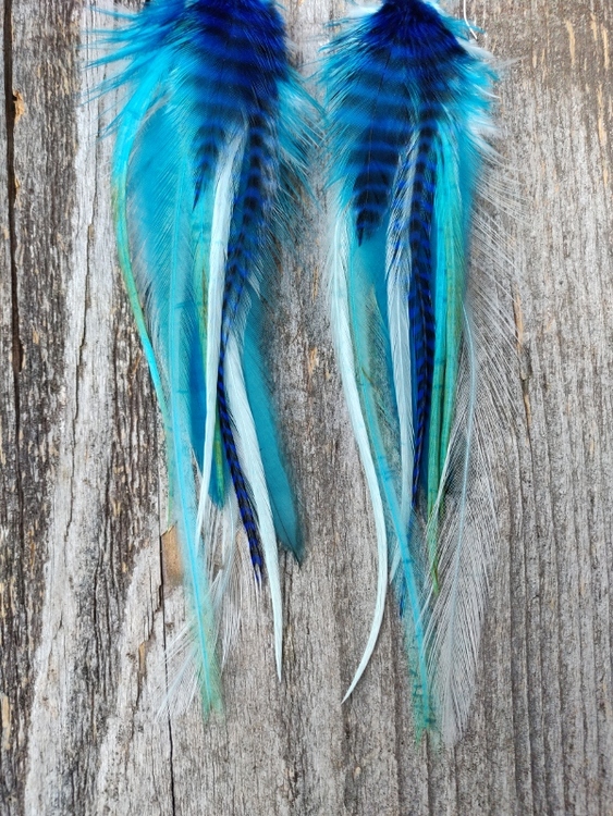 Feather Earrings Pair #2102