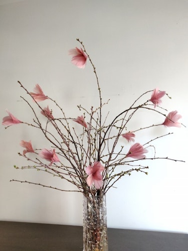 Fjäderblommor Magnolia