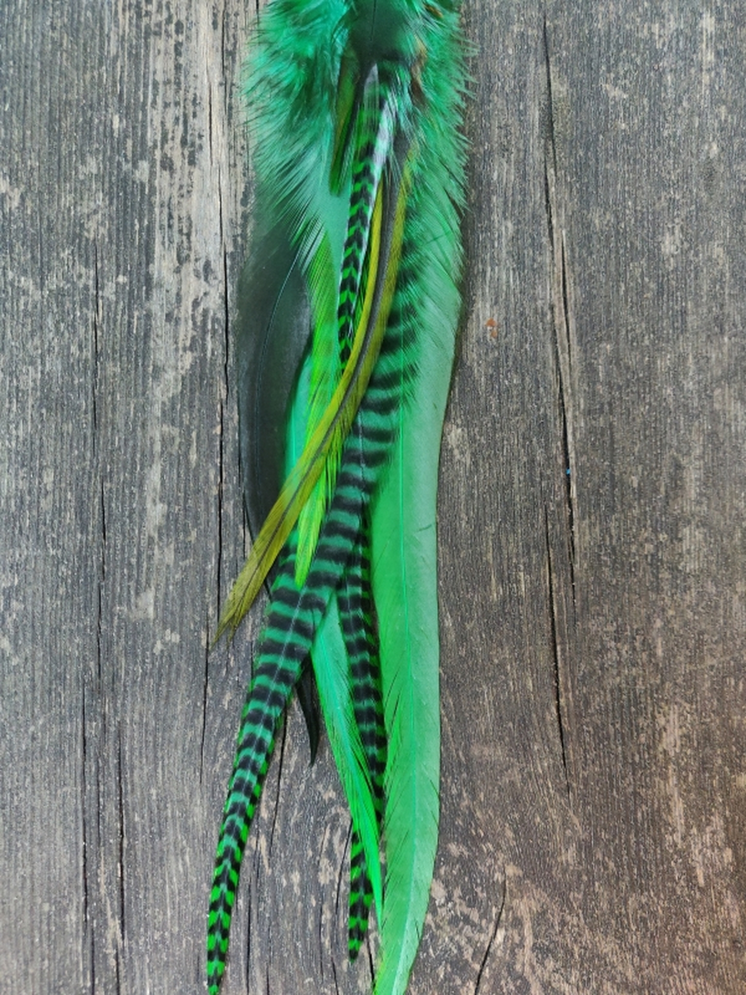 Long Single Feather Earring #2099