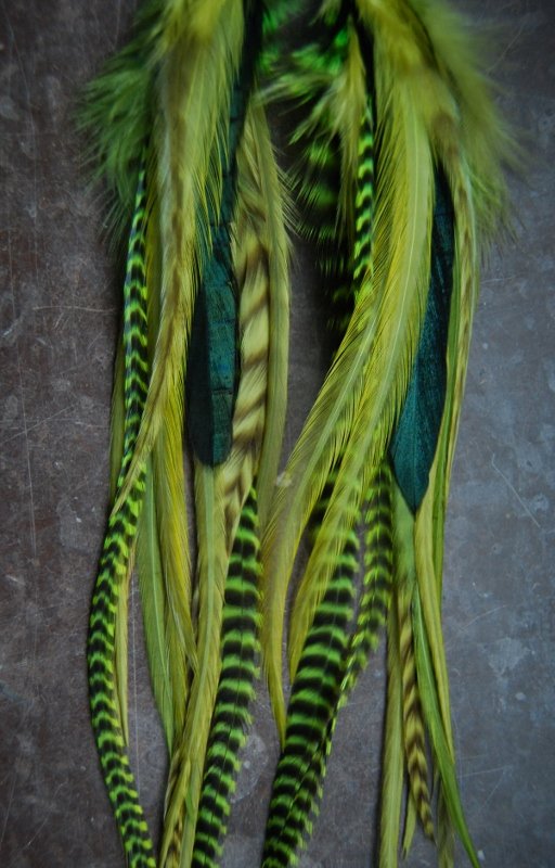 The Riddler Feather earrings