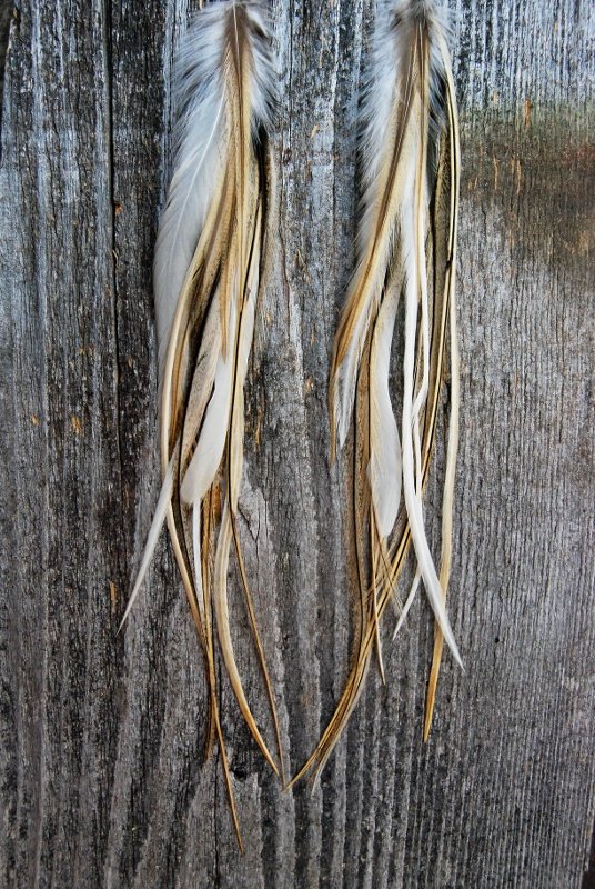 Beach Feather Earrings
