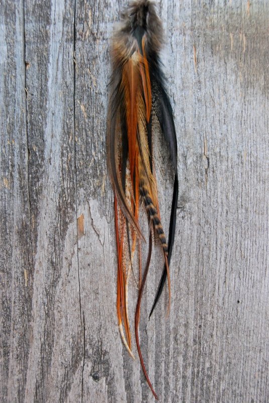 Nature Single Feather earring