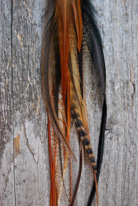 Nature Single Feather earring