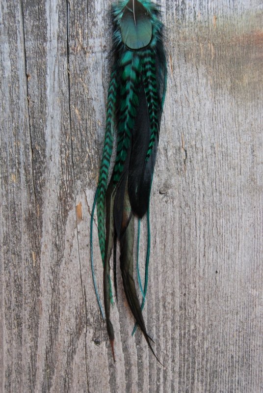 Forest Green Single Feather Earring