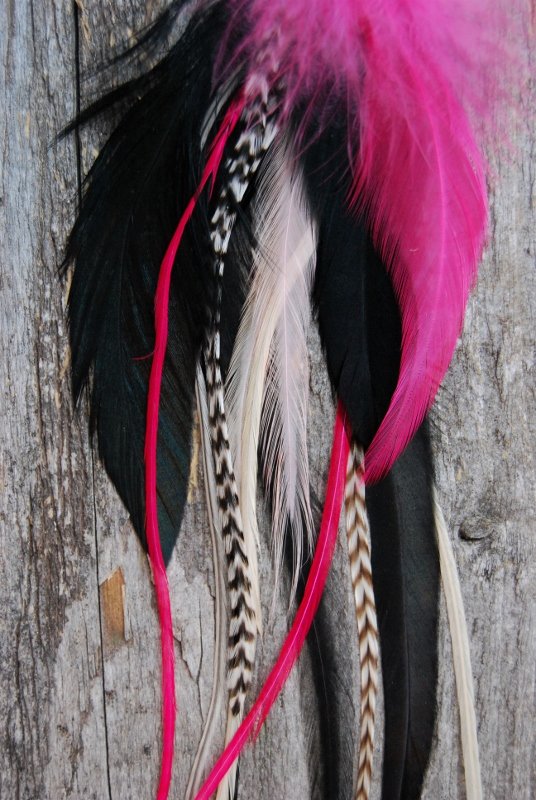 Hot Pink single feather earring