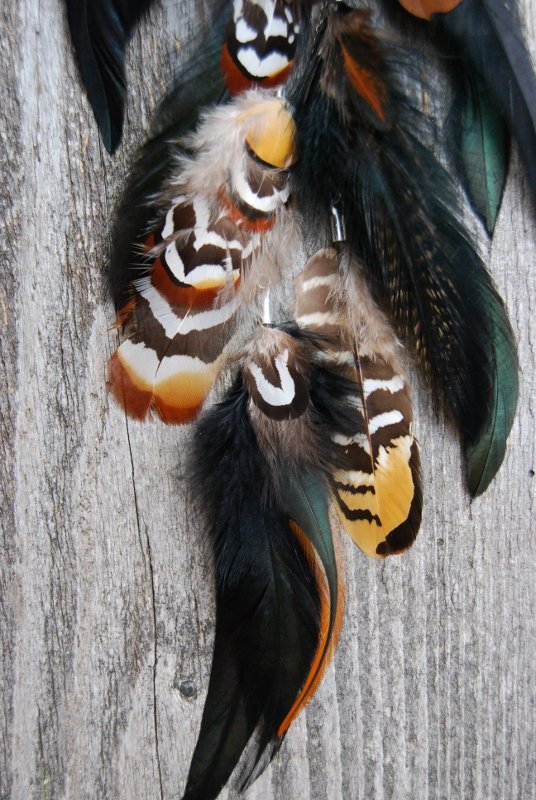Into the wild Feather earring