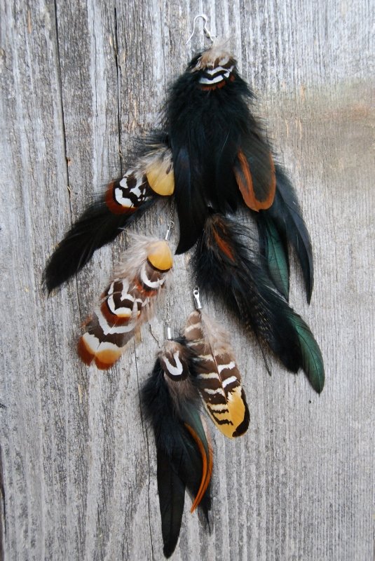 Into the wild Feather earring
