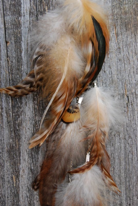 Natures finest Feather earring