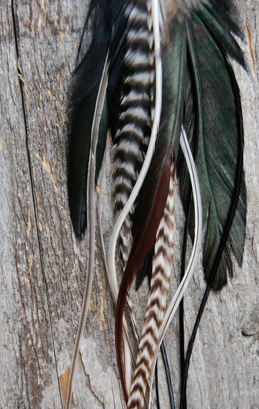 Dance single feather earring