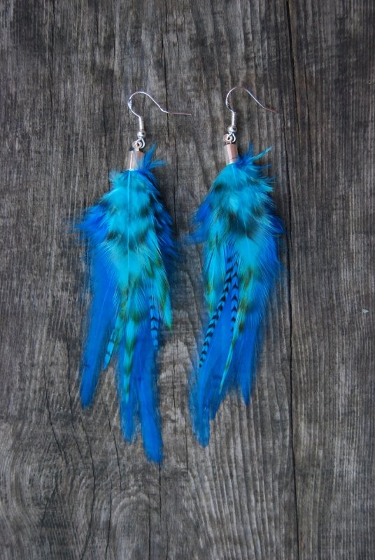 Dreaming Feather Earrings