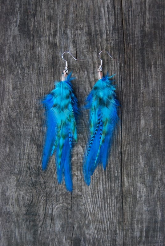 Dreaming Feather Earrings