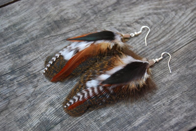 Native Feather earrings