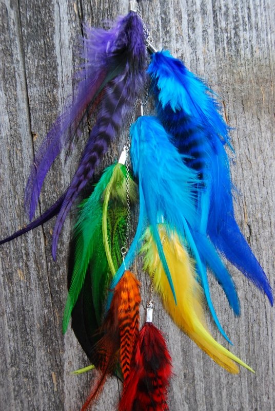 Charkra Feather earring #1
