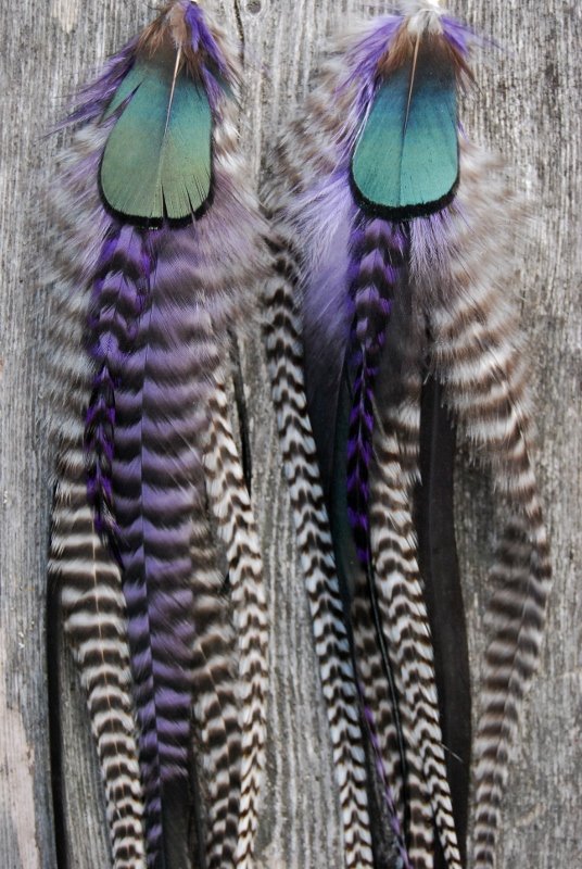 Good vibes Feather earrings