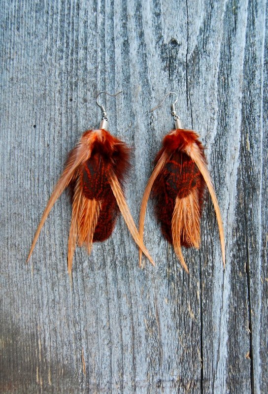 Beetle Feather Earrings