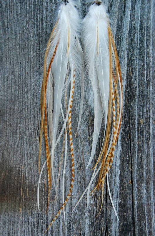 Fields of gold Feather Earrings