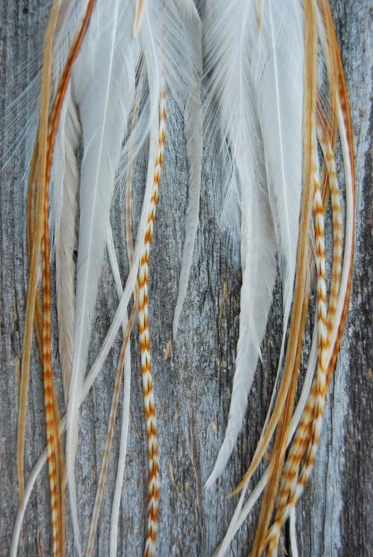 Fields of gold Feather Earrings
