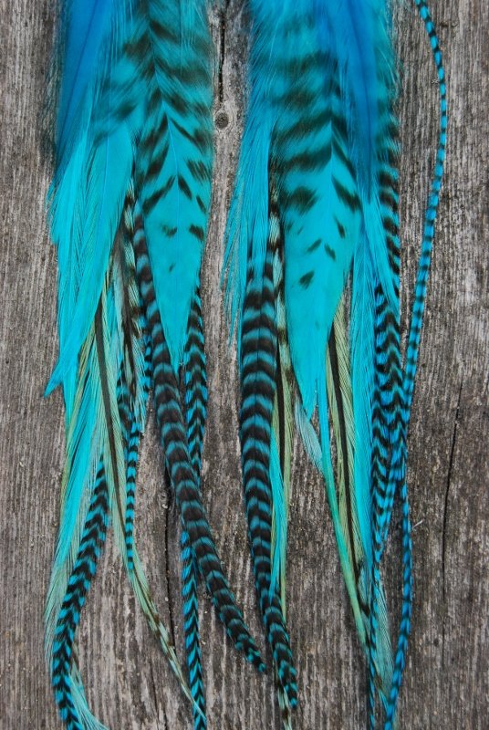 Calm Feather earrings