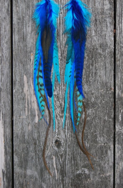 Joy Feather earrings