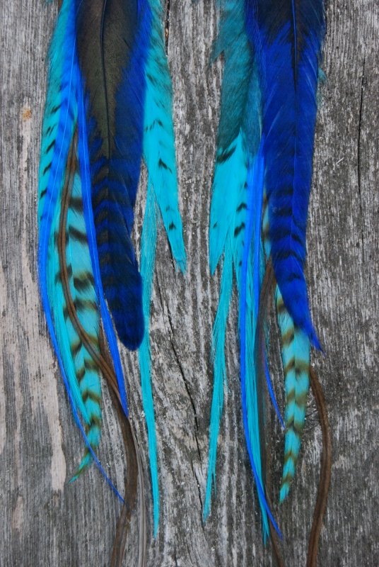 Joy Feather earrings