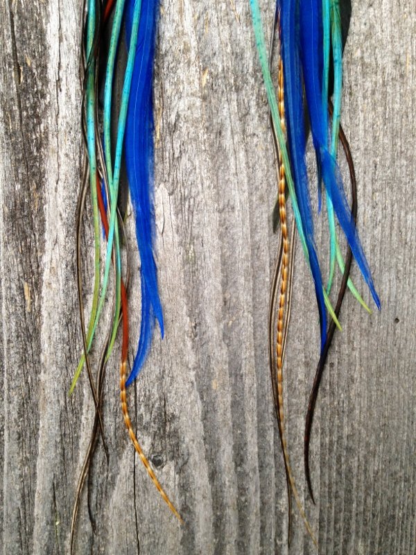 Paradise Feather earrings