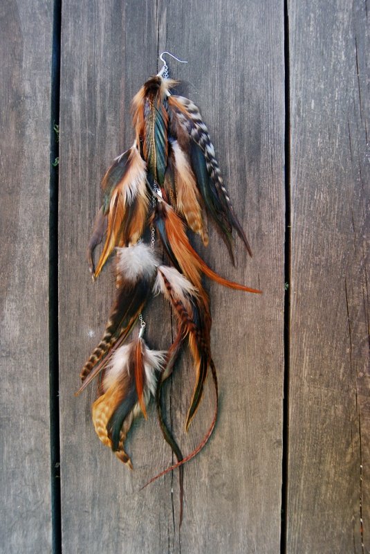 Nature #1 Feather earring