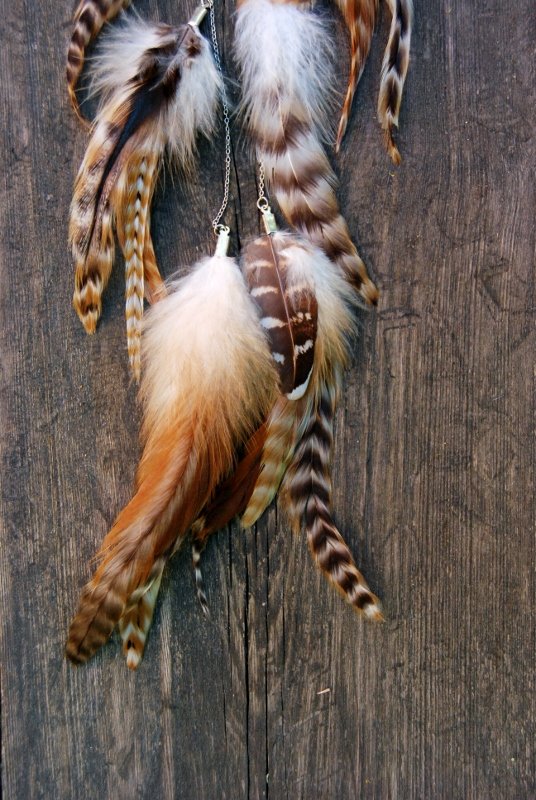 Nature #2 Feather earring