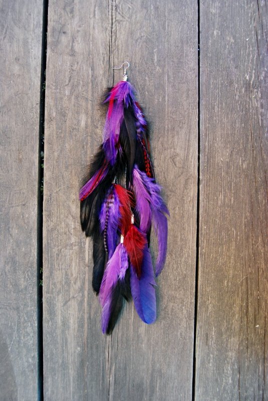 Mysterious  Feather earring