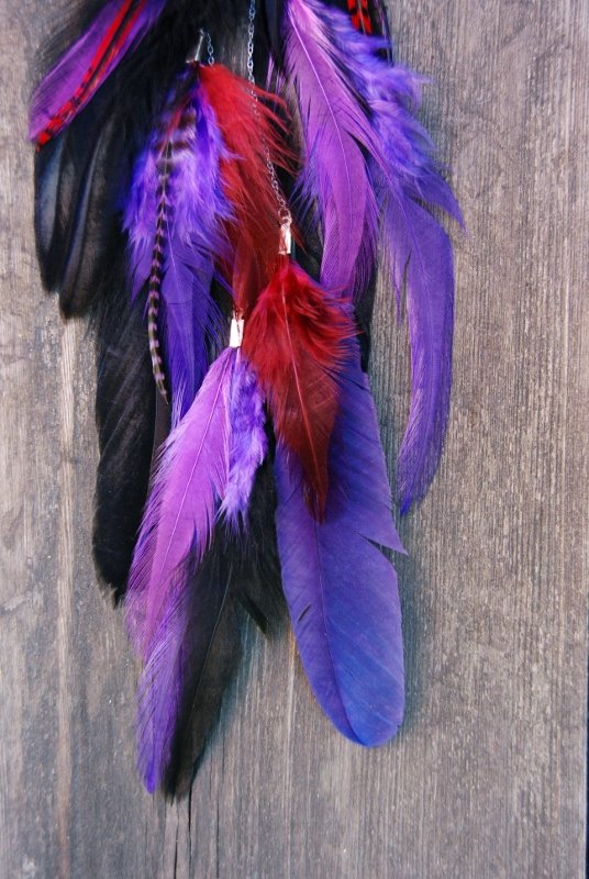 Mysterious  Feather earring