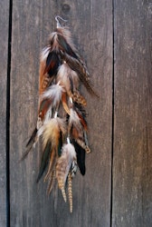 Nature #4 Feather earring