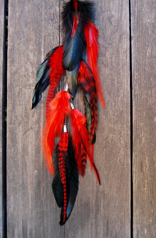 Red velvet Feather earring