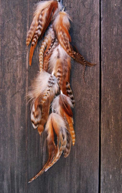 Nature #5 Feather earring