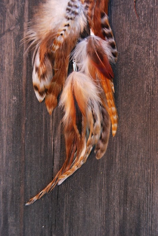 Nature #5 Feather earring