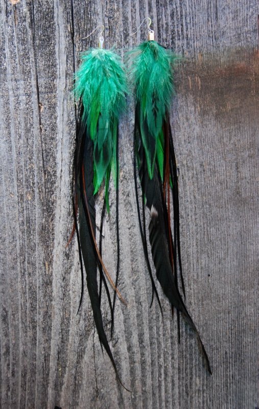 Sprout Feather earrings