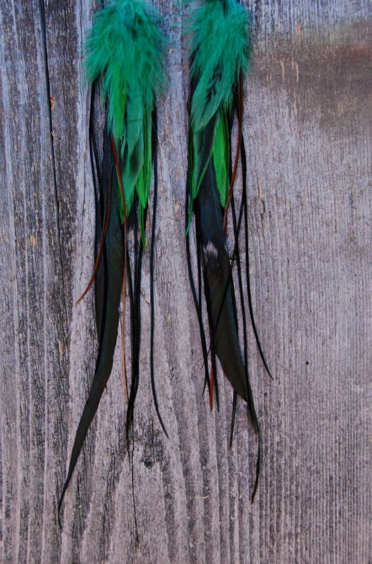 Sprout Feather earrings
